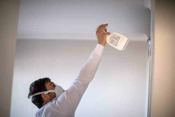 Best Same-Day Mold Removal  in Deming, NM