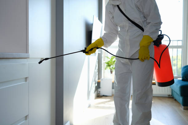 Best Mold Testing  in Deming, NM